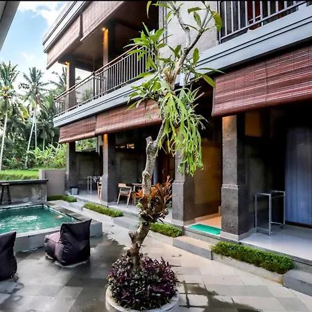 Harmony House 5. Just Built! 2 Min Ubud Center