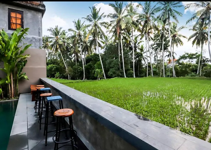 Pensión Harmony House R5 - Rice Field View, 2 Min Center - Shared Pool 3*